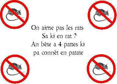 les rat(e)s